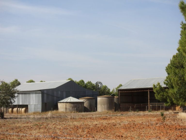 273 Coolamon Road, Wagga Wagga NSW 2650 - photo 18