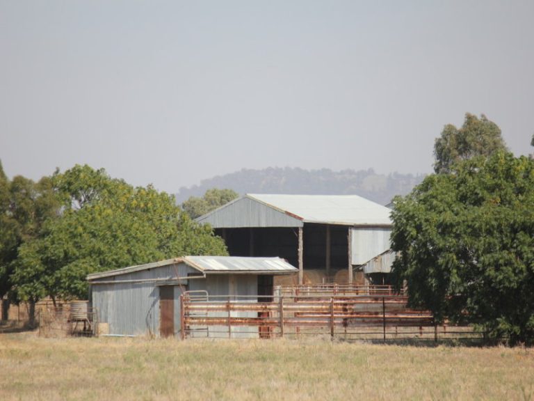 273 Coolamon Road, Wagga Wagga NSW 2650 - photo 20