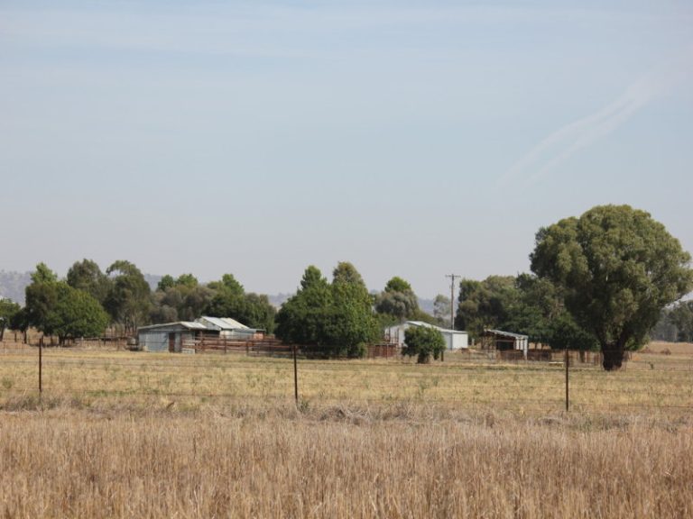 273 Coolamon Road, Wagga Wagga NSW 2650 - photo 22