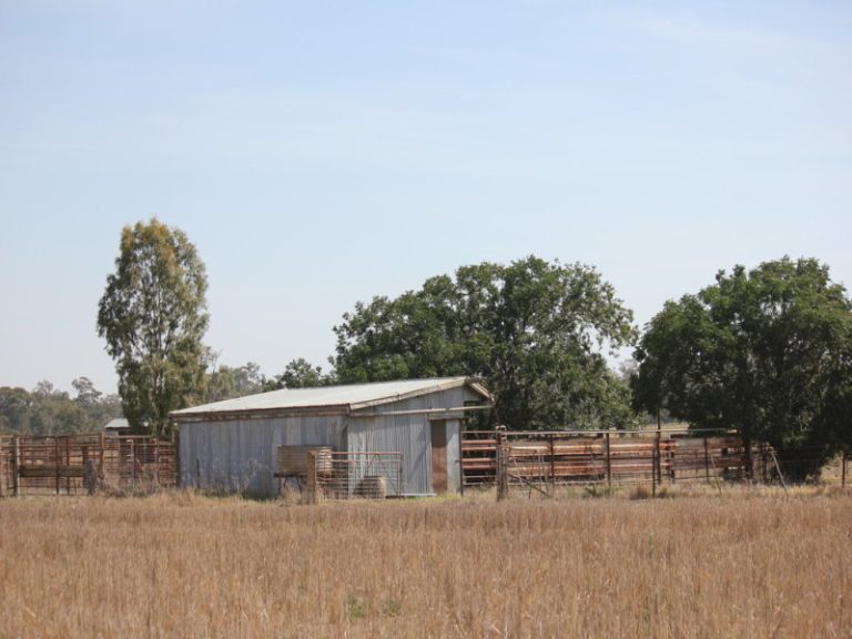273 Coolamon Road, Wagga Wagga NSW 2650 - photo 23