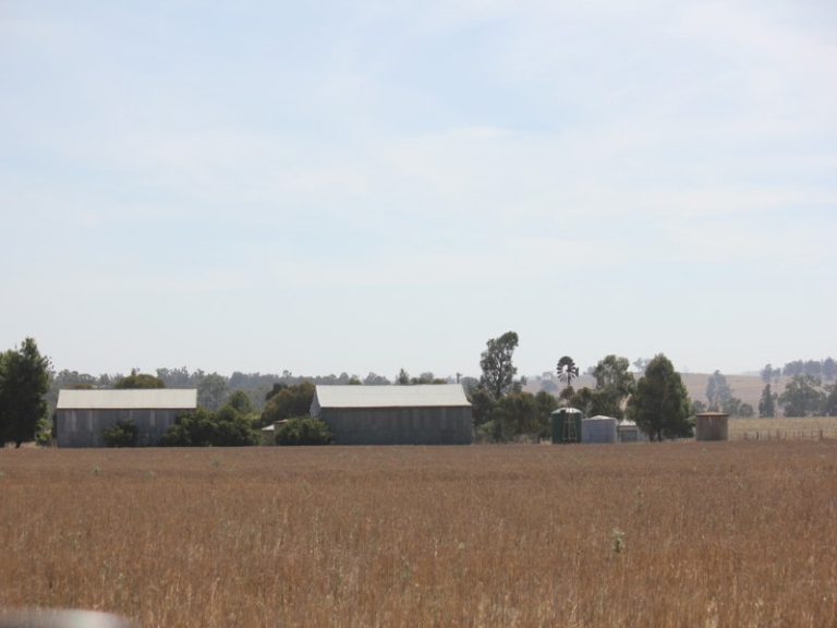 273 Coolamon Road, Wagga Wagga NSW 2650 - photo 24
