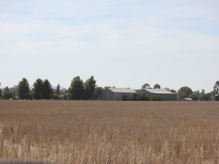 273 Coolamon Road, Wagga Wagga NSW 2650 - photo 25