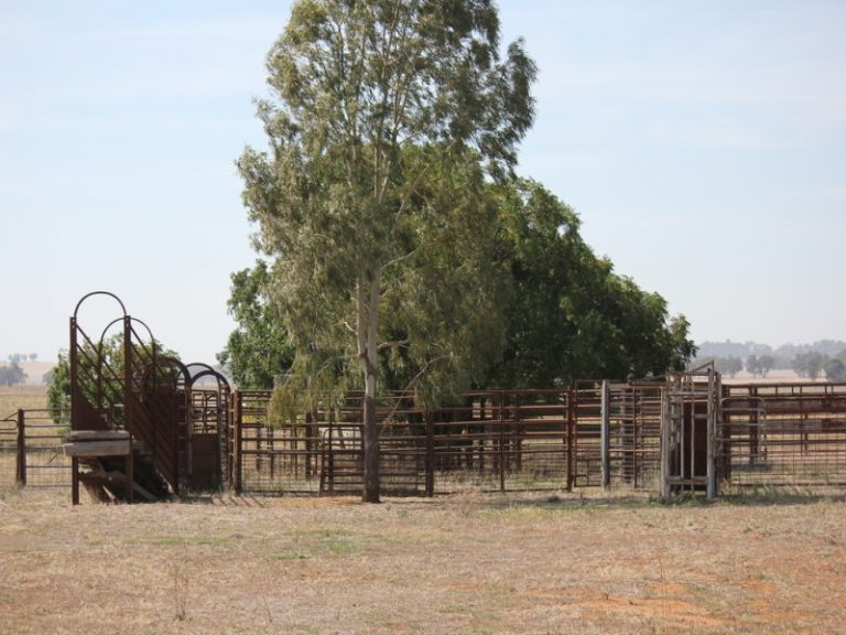 273 Coolamon Road, Wagga Wagga NSW 2650 - photo 28