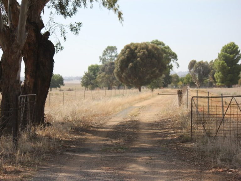 273 Coolamon Road, Wagga Wagga NSW 2650 - photo 4