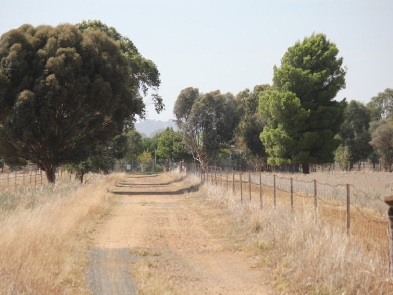 273 Coolamon Road, Wagga Wagga NSW 2650 - photo 5