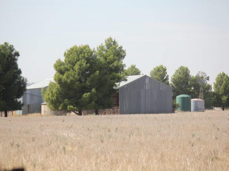 273 Coolamon Road, Wagga Wagga NSW 2650 - photo 6