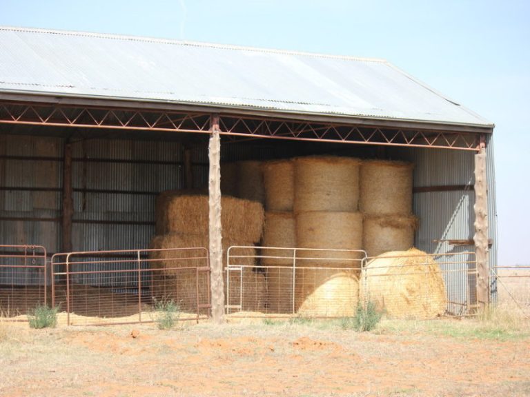 273 Coolamon Road, Wagga Wagga NSW 2650 - photo 9