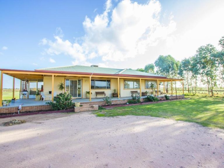 Farm 323 Koonadan Road, Leeton NSW 2705 - photo 2