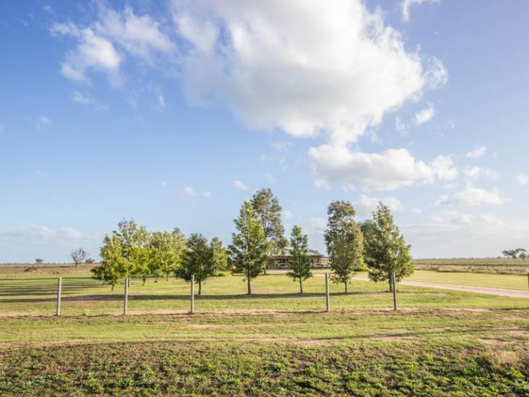 Farm 323 Koonadan Road, Leeton NSW 2705 - photo 16