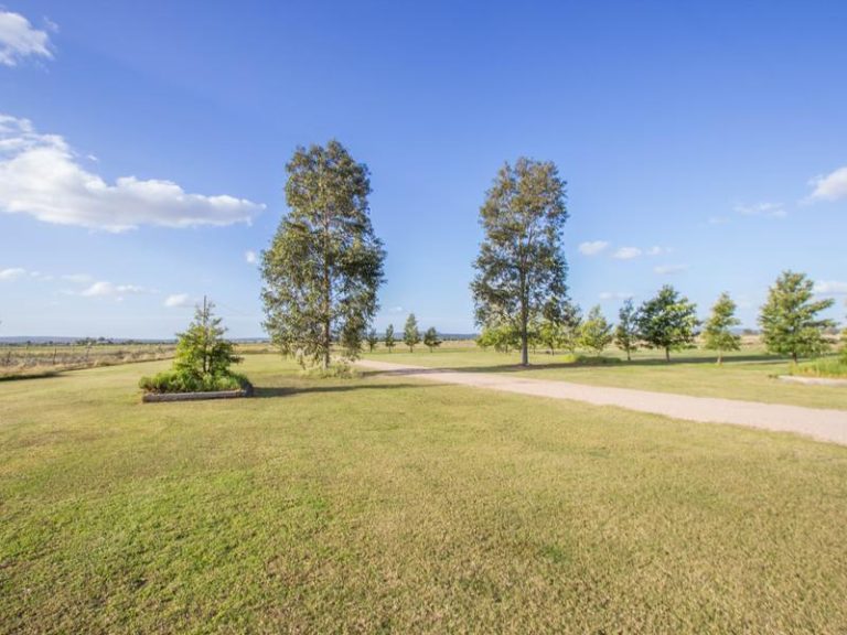 Farm 323 Koonadan Road, Leeton NSW 2705 - photo 18
