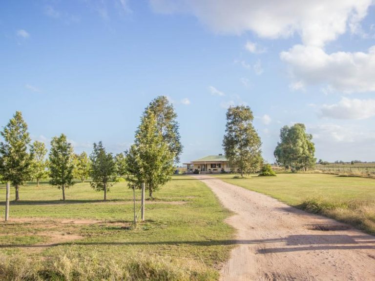 Farm 323 Koonadan Road, Leeton NSW 2705 - photo 3