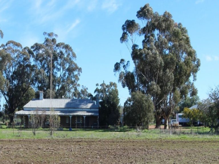 1795 Mary Gilmore Way, Barmedman NSW 2668 - McGrath Riverina
