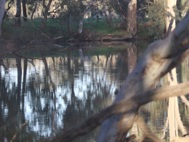 Sturt Highway, Narrandera NSW 2700 - photo 2