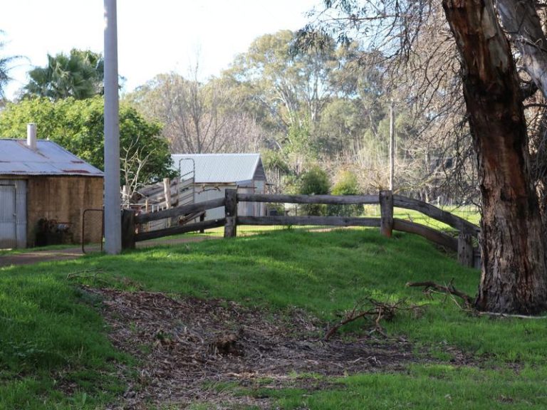 20 Grinters Rd, Nathalia VIC 3638 - photo 27