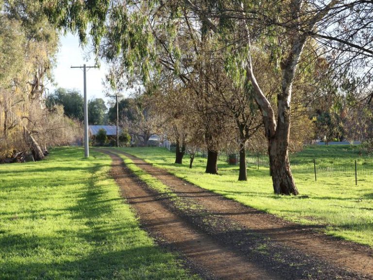 20 Grinters Rd, Nathalia VIC 3638 - McGrath Riverina
