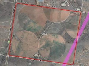 Farm 4005, Coleambally NSW 2707 - photo 11