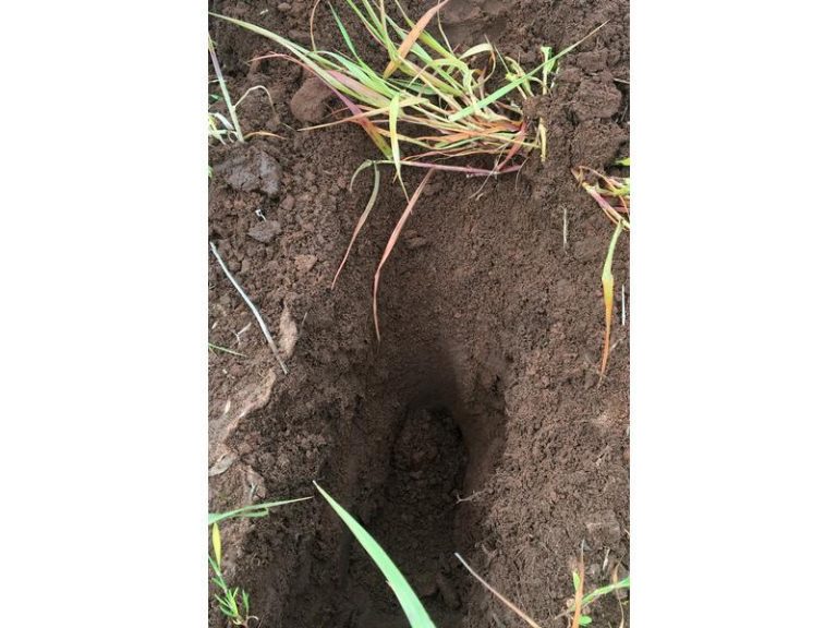 Farm 4005, Coleambally NSW 2707 - photo 3