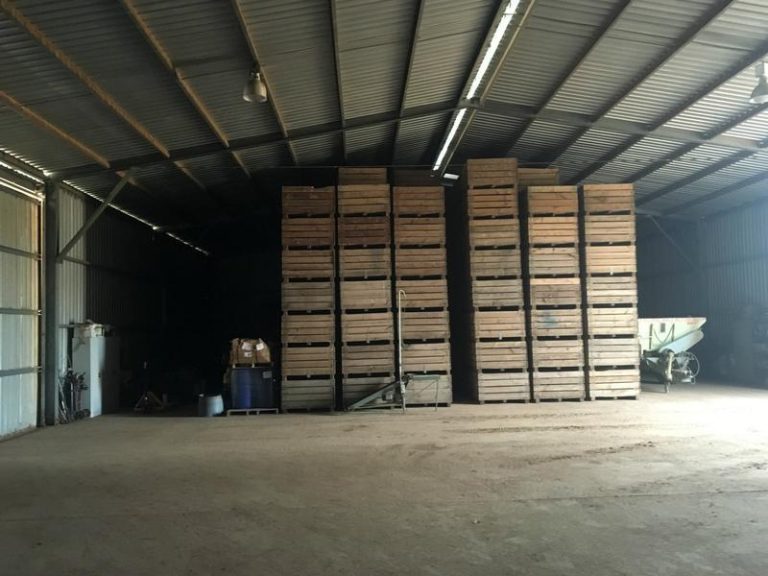 Farm 4005, Coleambally NSW 2707 - photo 8
