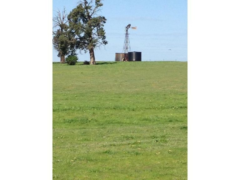 Innisvale Road, Leeton NSW 2705 - photo 5