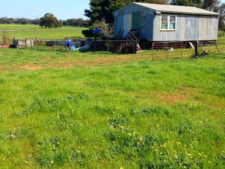 Innisvale Road, Leeton NSW 2705 - photo 6