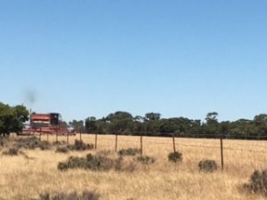 125 Langs Lane, West Wyalong NSW 2671 - photo 3