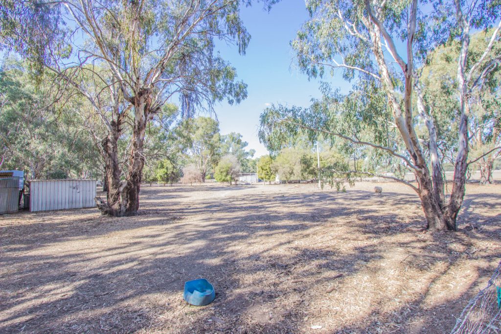 100 Oak Bank Street, Narrandera NSW 2700 - photo 9