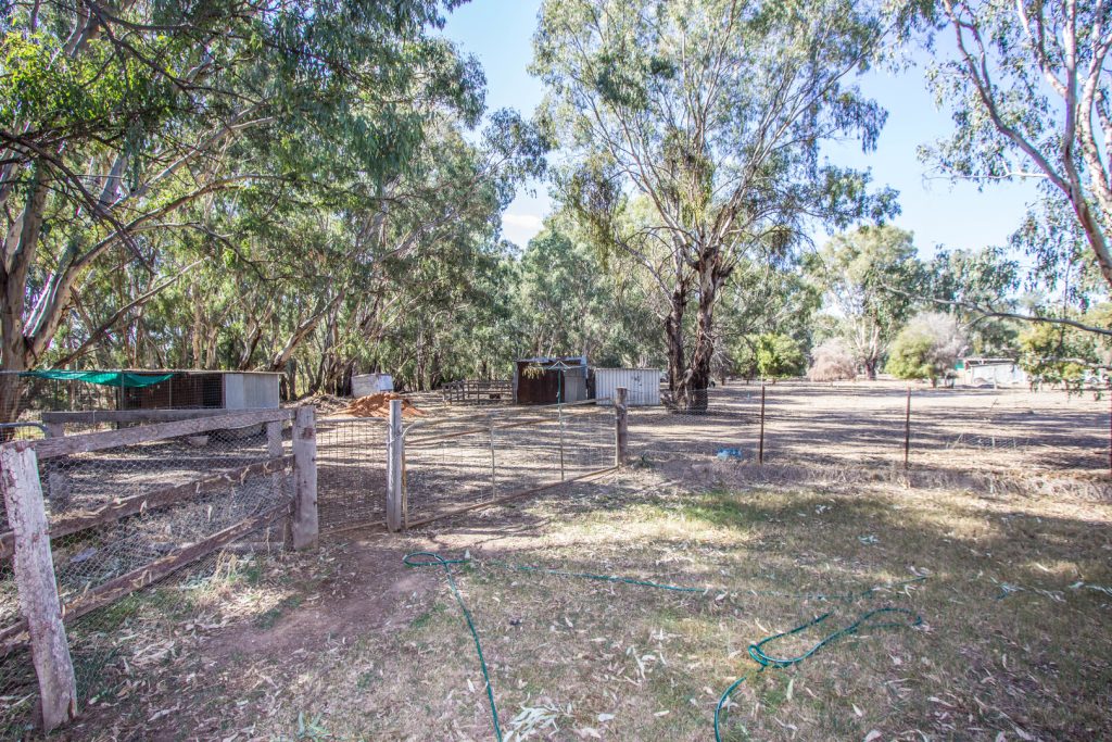 100 Oak Bank Street, Narrandera NSW 2700 - photo 10