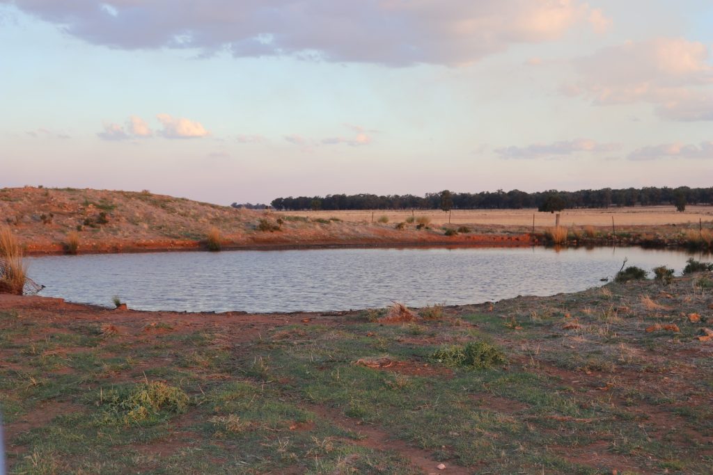 Mid Western Highway, West Wyalong NSW 2671 - photo 3