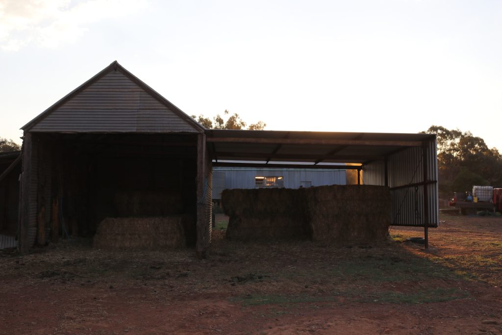 Mid Western Highway, West Wyalong NSW 2671 - photo 5