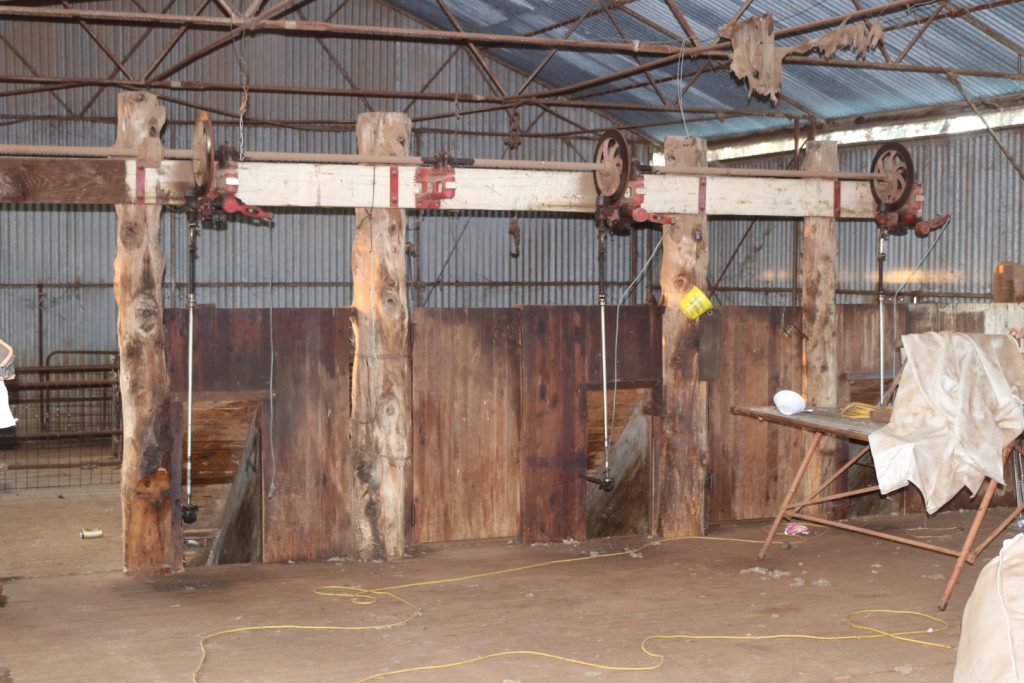 Mid Western Highway, West Wyalong NSW 2671 - photo 6