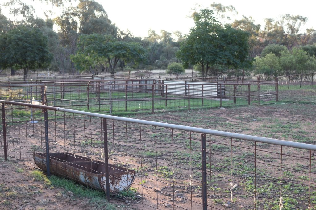 Mid Western Highway, West Wyalong NSW 2671 - photo 7