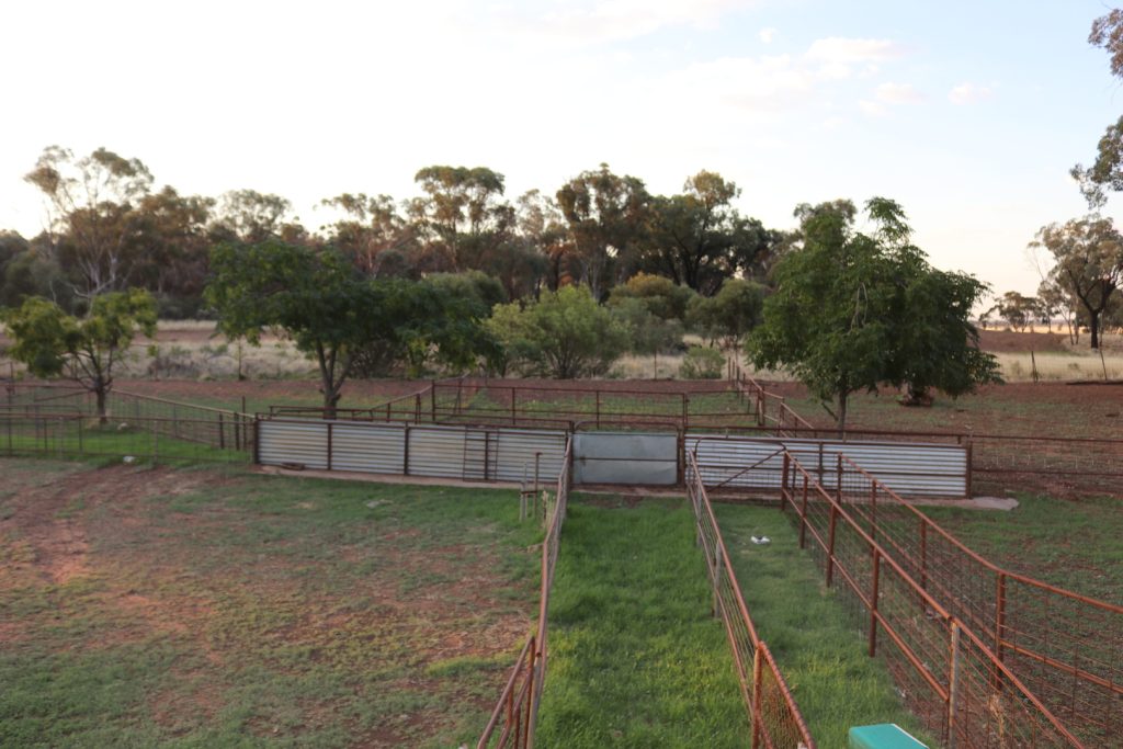 Mid Western Highway, West Wyalong NSW 2671 - photo 8