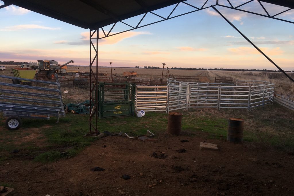 Mundura Road, Euroley NSW 2700 - McGrath Riverina