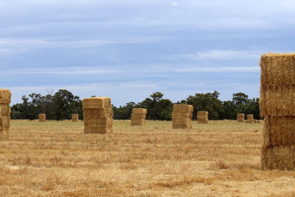 Sturt Highway, Darlington Point NSW 2706 - photo 4