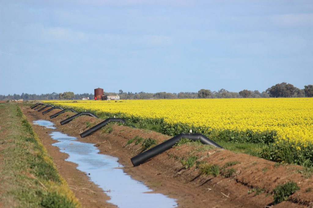 Macleay Road, Coleambally NSW 2707 - McGrath Riverina