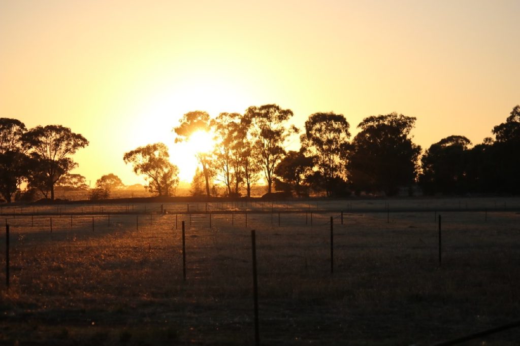Ellerslie Estate, Temora