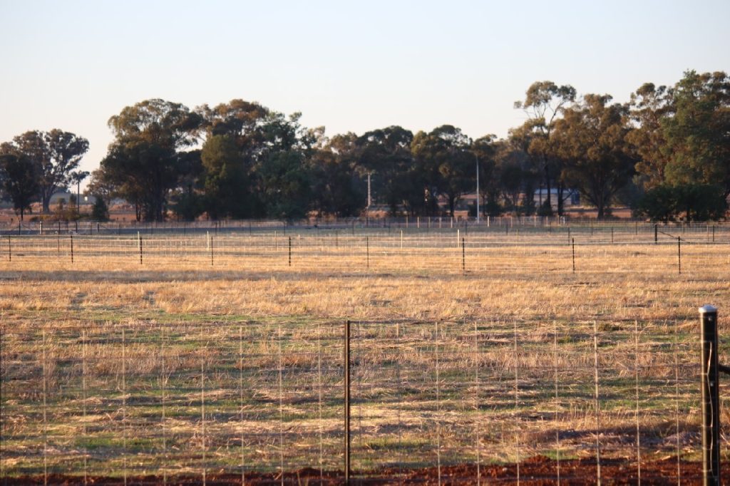 Ellerslie Estate, Temora NSW 2666 - photo 4