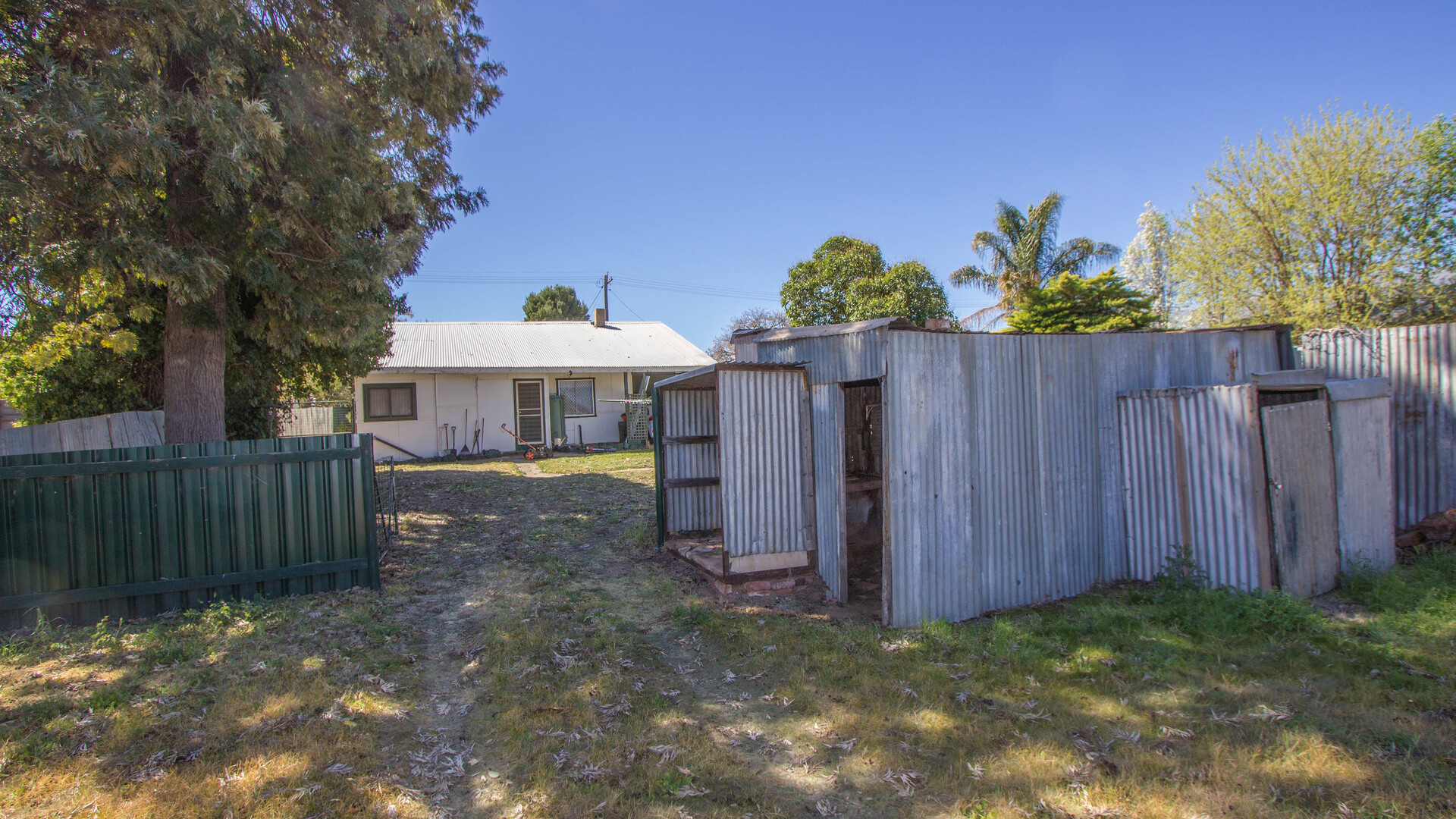 62 Twynam Street, Narrandera NSW 2700 - photo 10