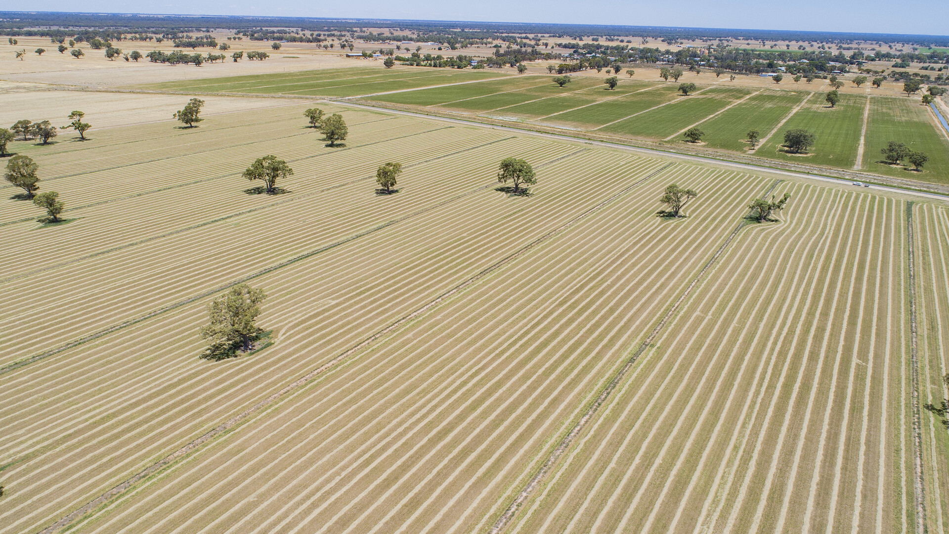 2298 Burraboi Road, Wakool NSW 2710 - photo 5