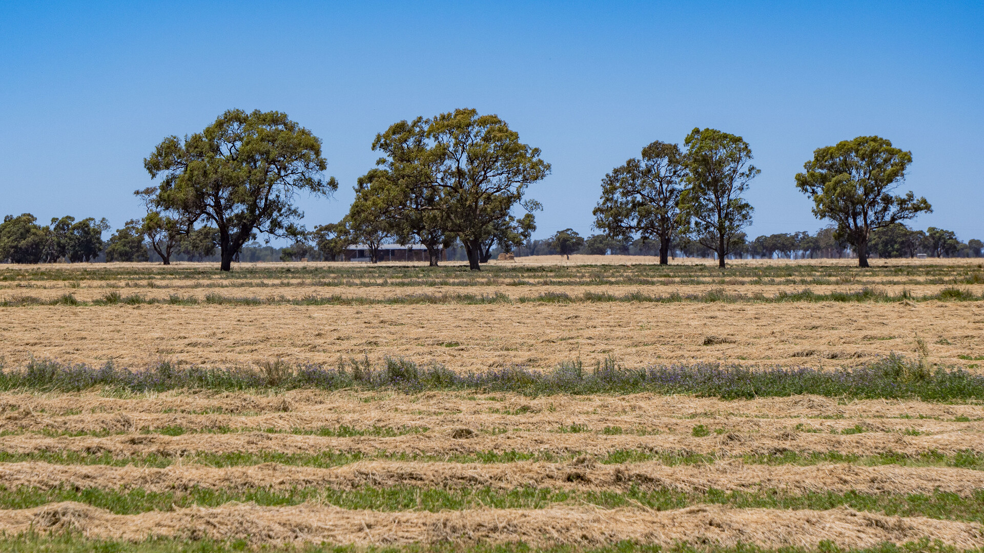 2298 Burraboi Road, Wakool NSW 2710 - photo 7