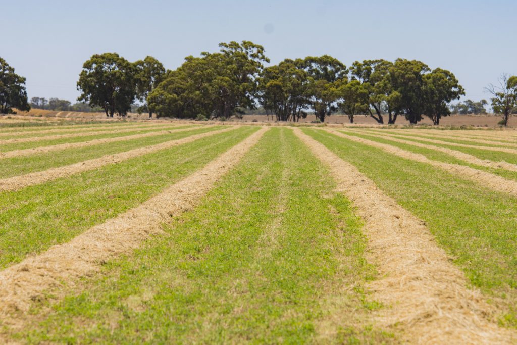 2298 Burraboi Road, Wakool NSW 2710 - photo 8