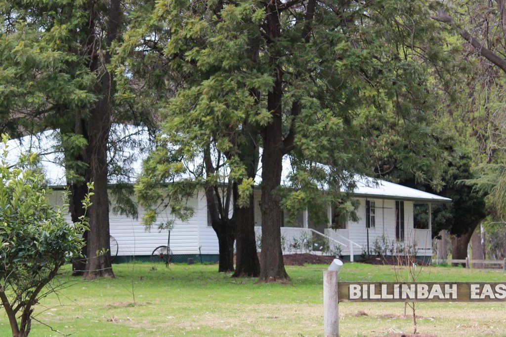 1280 Euroley Road, Narrandera NSW 2700 - McGrath Riverina