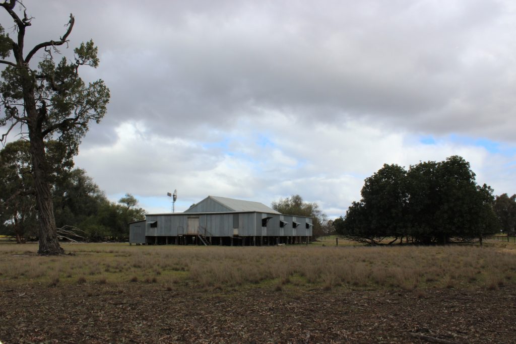 1280 Euroley Road, Narrandera NSW 2700 - photo 13