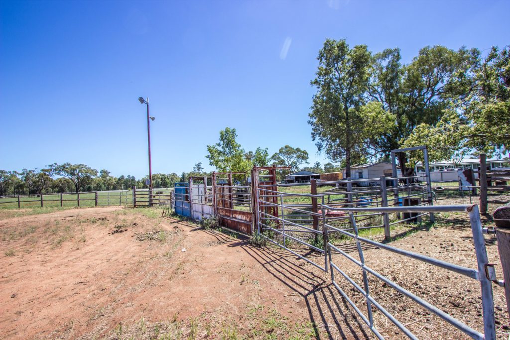 2 "SUMMERSET" Burley Griffin Way, Barellan NSW 2665 - photo 13