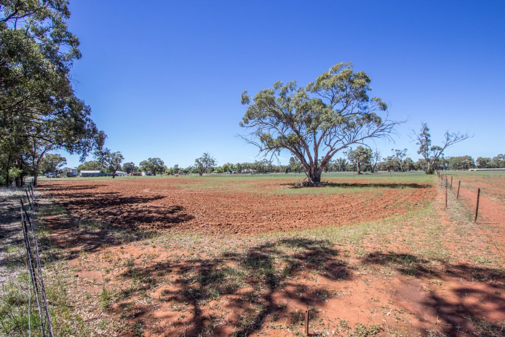 2 "SUMMERSET" Burley Griffin Way, Barellan NSW 2665 - photo 15