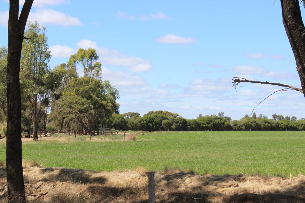 20 Walker Lane, Barham NSW 2732 - photo 11