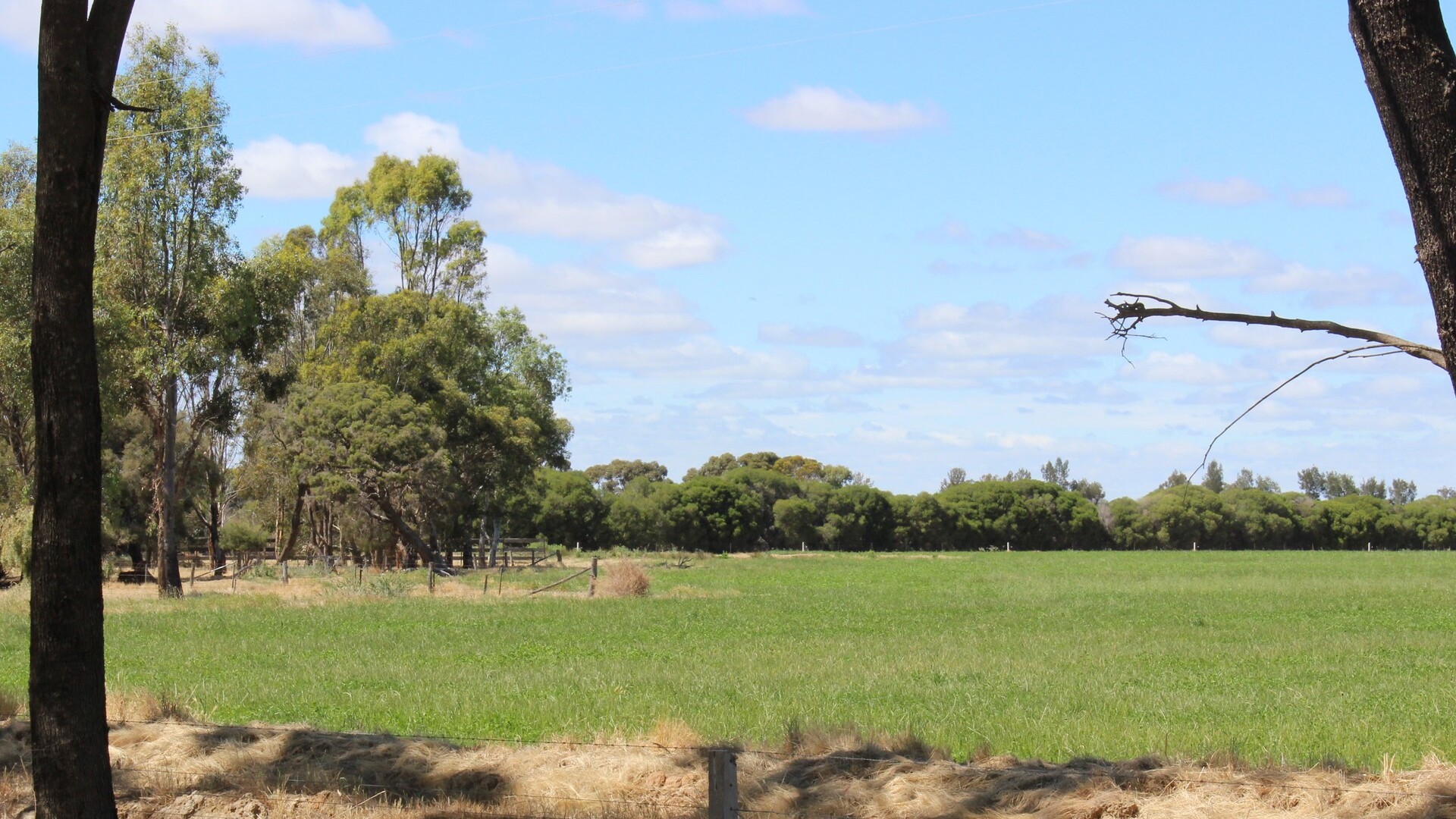 20 Walker Lane, Barham NSW 2732 - photo 11