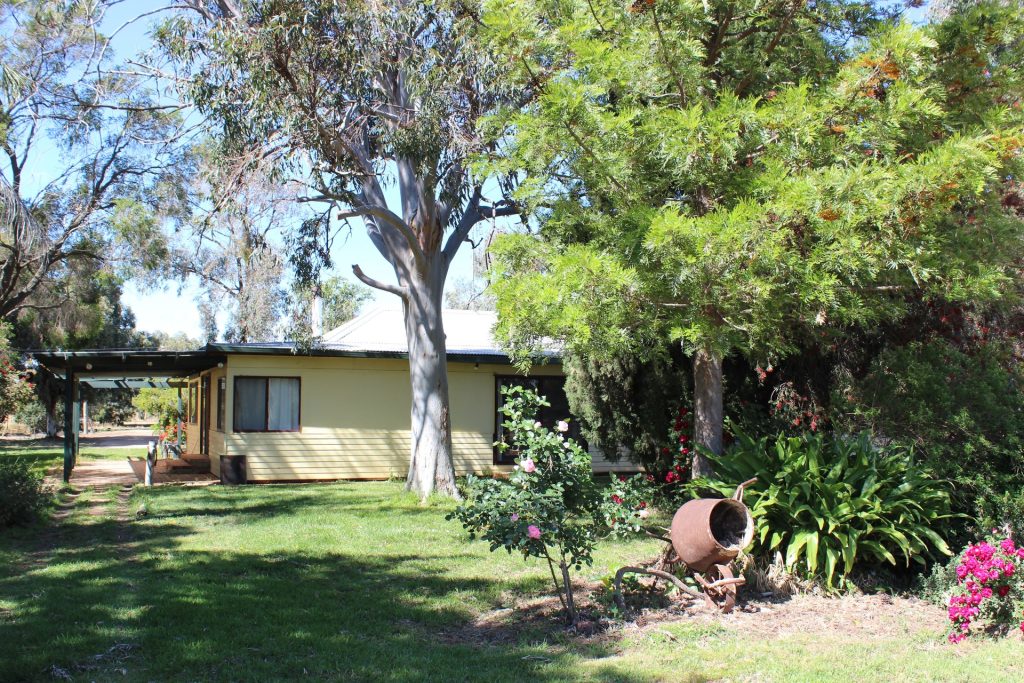 20 Walker Lane, Barham NSW 2732 - photo 12