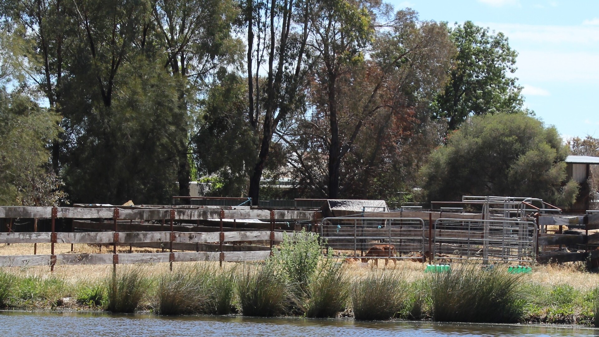 20 Walker Lane, Barham NSW 2732 - photo 4