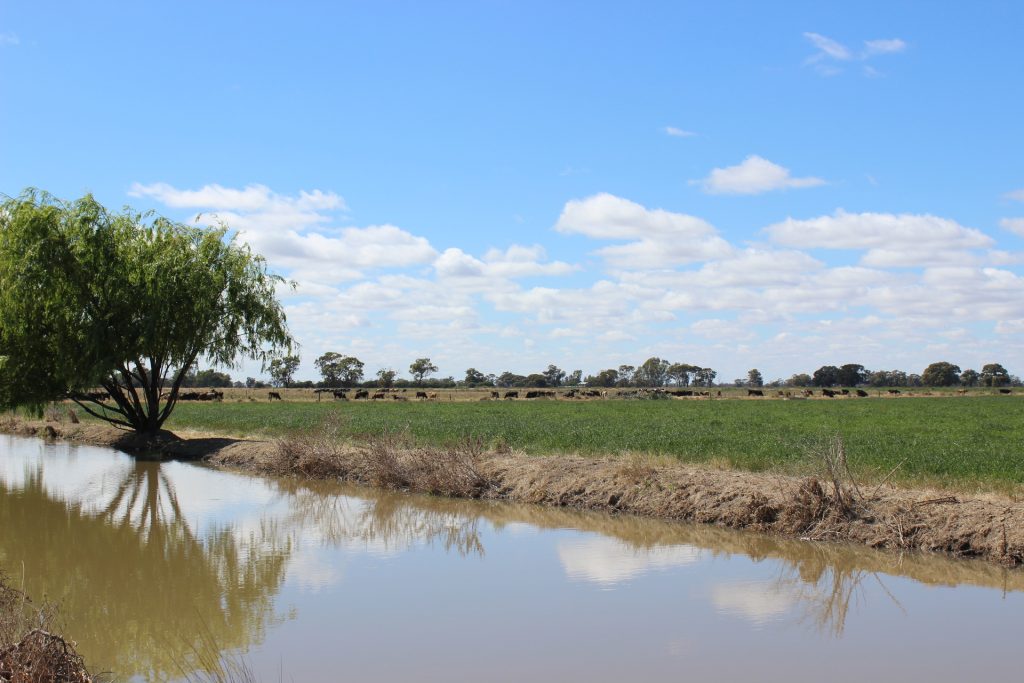 20 Walker Lane, Barham NSW 2732 - photo 7